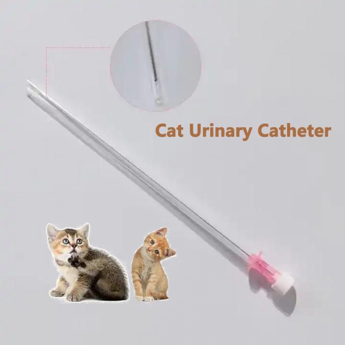 Introducing the Latest TPU Cat Urinary Catheter: A Game Changer for ...