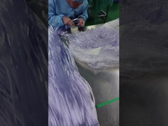 High Quality Nasal Oxygen Tubes in the making！