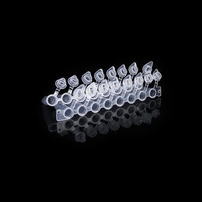 Buy Dome Shaped Caps 0.2ml PCR Tube 8 Strip With Attached Cap PCR Eight Connected Pipe online manufacture