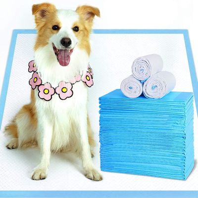 Buy Linen Savers Hospital Disposable Dog Pads 45*50cm Disposable Underpad online manufacture