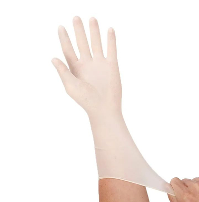 Buy Sterile Latex Examination Gloves for Medical Use Sizes M/L/XL online manufacture
