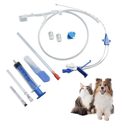 Buy Class II Veterinary Central Venous Catheter Kit with 1-year Shelf Life and Biocompatible Materials online manufacture