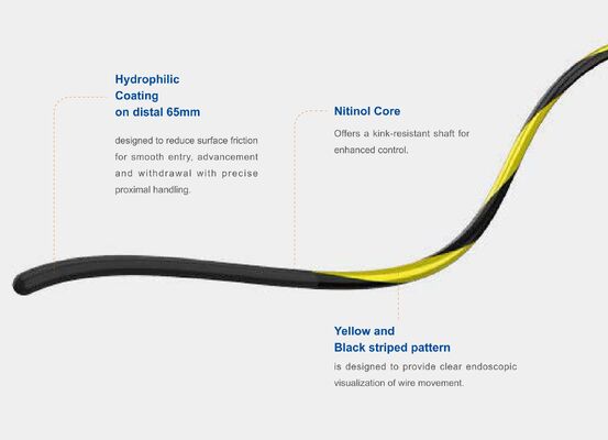 Buy Zebra Nitinol Core Guidewire – Precision, Flexibility, and Durability for Advanced Interventional Procedures online manufacture