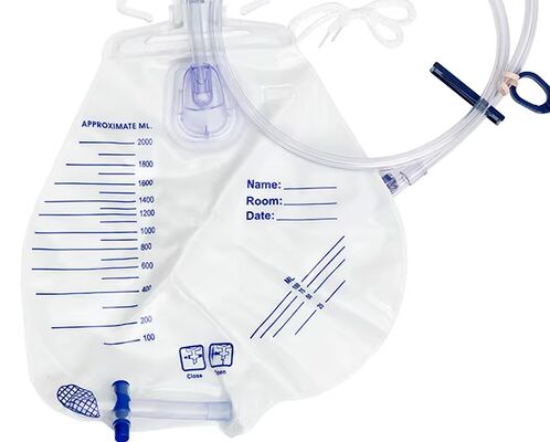 Buy Sterile Medical Grade PVC Urine Drainage Bag with 2000ml Capacity and Bottom Outlet T Valve for Easy Drainage online manufacture