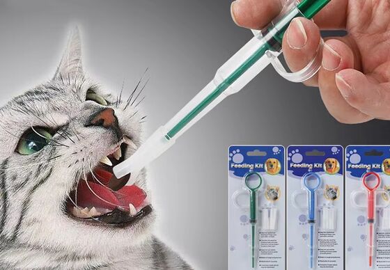 Buy Reusable Pet Feeding Kit with Food-Grade Silicone and Soft Silicone Tubes for Safe Medicine Administration online manufacture