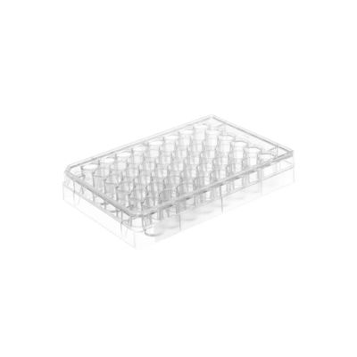 Good price Cell Culture Plates With Treated Culture Surface And Plates 6 12 24 48 And 96 Wells With Flat Bottoms online