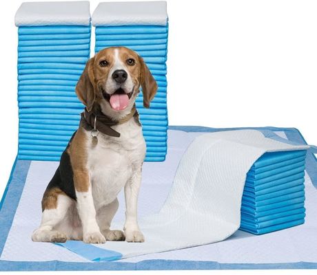 Good price 5-Ply Pet Training Pad with Super Absorbent SAP Material, Leak-Proof PE Backing, and Quick Dry Surface for Dogs and Cats online