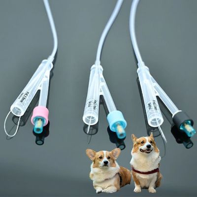 Good price Veterinary Dog Urinary Catheters PVC / Silicone Durable Solutions for Pet Care online