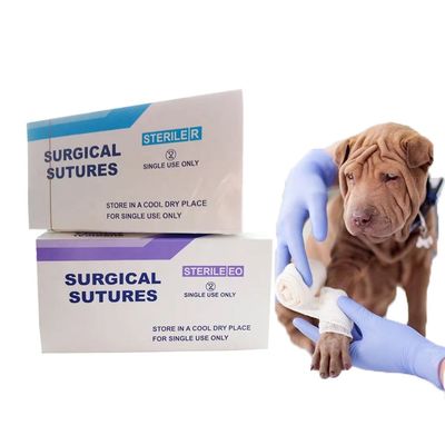 Good price Nylon Sterile Surgical Sutures Nylon Monofilament Sutures With Needle Nylon Silk Chromic Catgut online