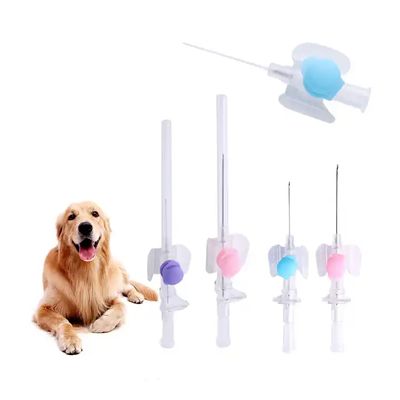 Good price ISO Certificate Disposable IV Cannula Intravenous Injection Needle Veterinary Catheter Butterfly Type IV Cannula online