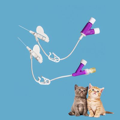 Good price PVC Stainless Steel I.v. Cannula For Cat And Dog Y-type Better Fixation Multi Size 14g 16g 18g 20g 22g 24g 26g online