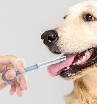 Good price Feeding Tube Pet Dog Cat Pill Gun Medicine Syringe Feeding Kit Durable Plastic online
