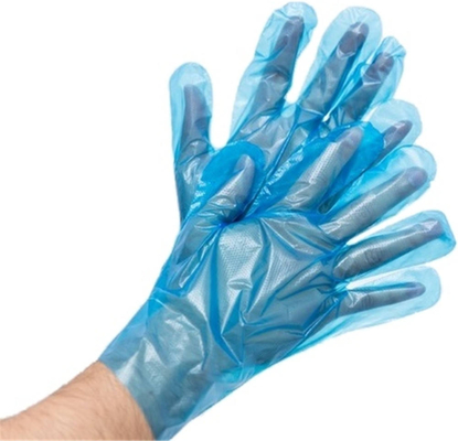 Good price Kitchen Home Catering Crayfish Barbecue Pe Film Gloves Thickened Disposable Plastic Gloves Durable Waterproof online