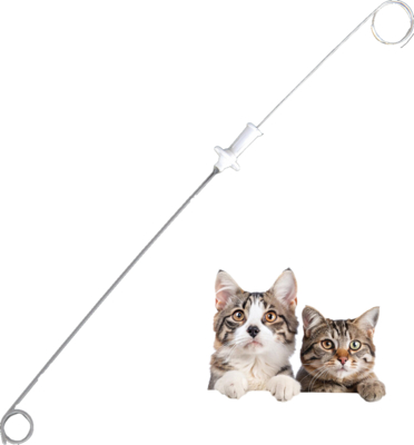 Good price Absorbable Medical Suture Animal Urinary Stent Catheter, with Guide Wire Suture Plate, Suitable Dogs Cats 3Fr 4Fr, Renal, Kidney Veterinary, PU Material online