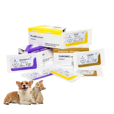 Good price Hospital Surgery Disposable Plain Catgut Medical Sewing Sutures with Needle PGA/pdo/silk/nylon/catgut Sterile Surgical Sutures online