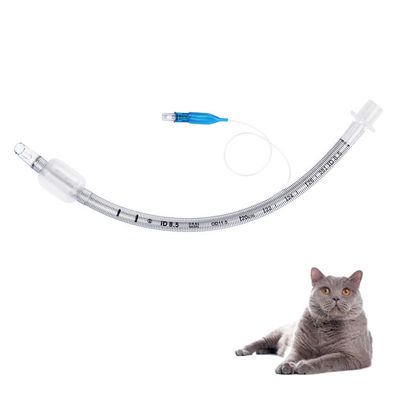 Good price Veterinary Reinforced Endotracheal Tube Medical Grade PVC with Olive-Shaped Balloon Transparent Anesthesia Catheter for Animal Hospitals online
