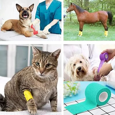 Good price Medical Grade Elastic Vet Wrap Cohesive Bandage Self-Adherent Flexible Wrap For Pets Non-woven Material For Dog Cat Wound Care Joint Support online