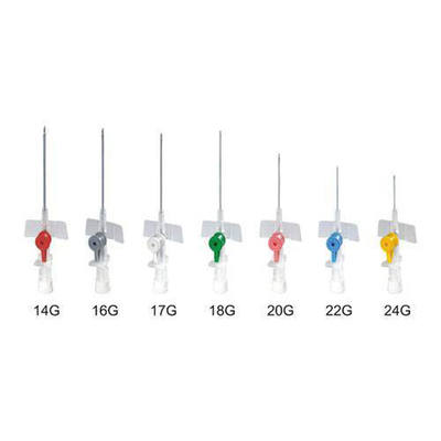 Good price Disposable Butterfly IV Cannula with Winged Design for Easy Insertion and Secure Placement online