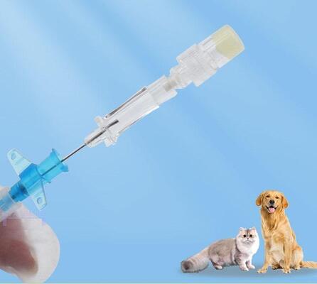 Good price Small Winged IV Cannula with Heparin Lock | Flexible, Safe, and Designed for Small Animal IV Use online