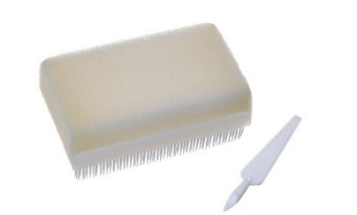 Good price Hand Scrub Brush for Medical Use – Ergonomically Designed, Long-Lasting, Anti-Bacterial Bristles for Healthcare Environments online