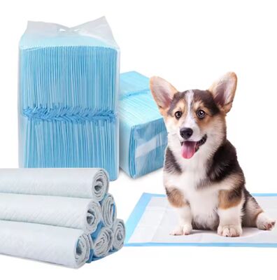 Good price 5-Ply Super Absorbent Pet Training Pad - Factory Wholesale High Absorbency Puppy Pee Pad with SAP & Leak-Proof PE Backsheet online