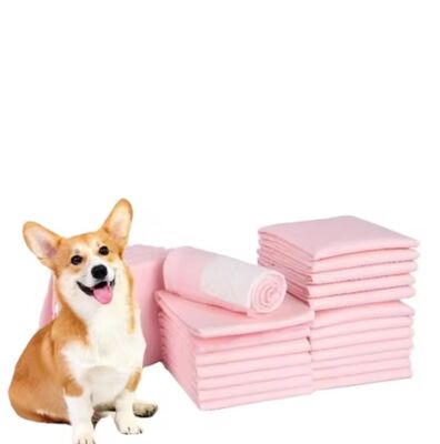 Good price Super Absorbent Quick-Drying Leak-Proof Disposable Puppy Training Pads for Pets and Cats online
