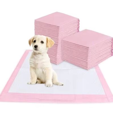 Good price Super Absorbent Quick-Drying Leak-Proof Disposable Pet Pad for Puppy Training and Indoor Use online