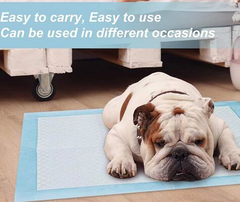 Good price 60×90 Cm Super Absorbent Quick-Drying Leak-Proof Disposable Pet Pads for Dogs and Cats online